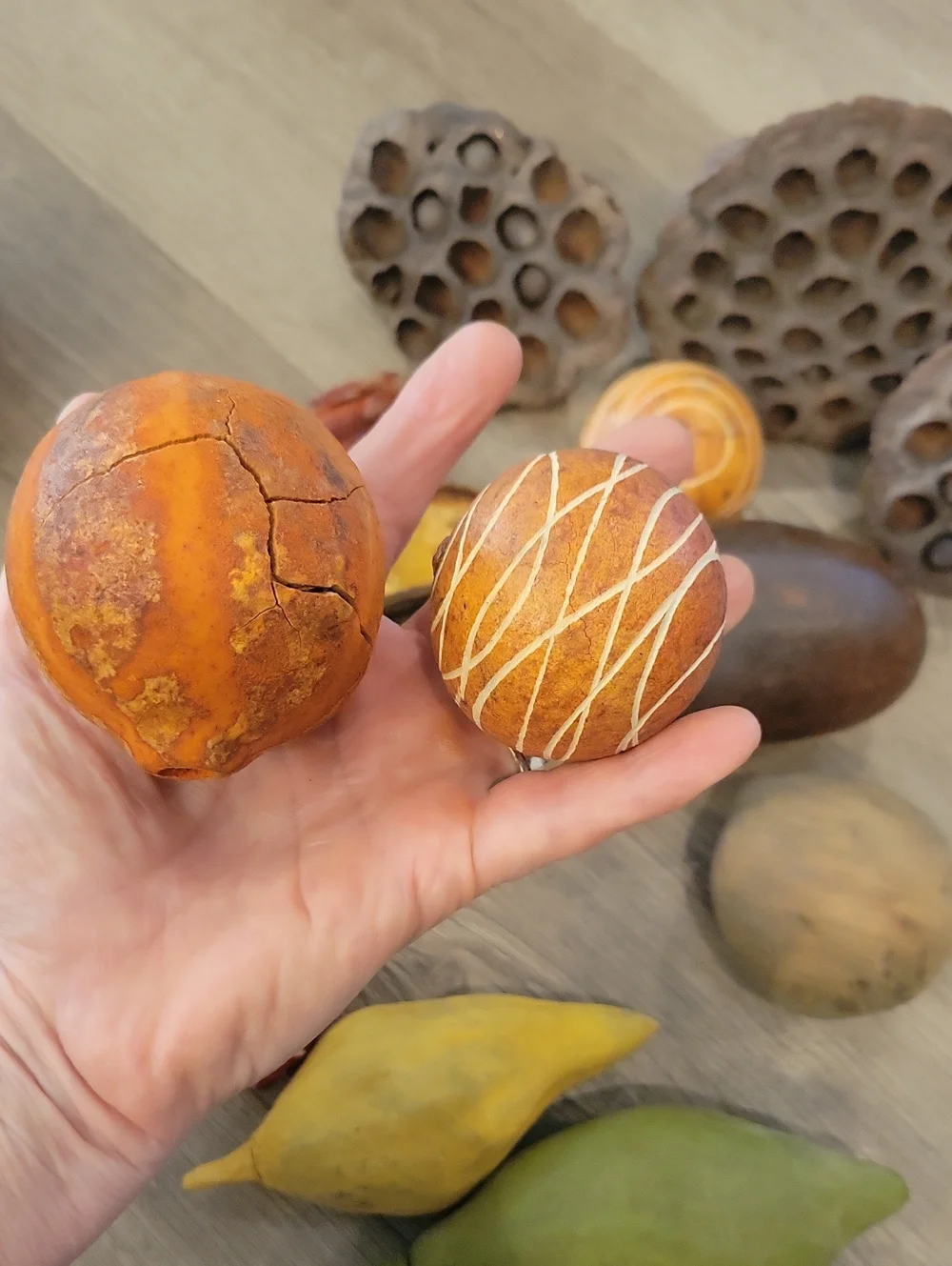 Assorted Natural Decorative Potpourri - Earthy Tones